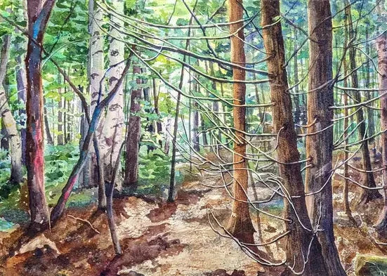 Northern Landscapes - Greeting Card Set