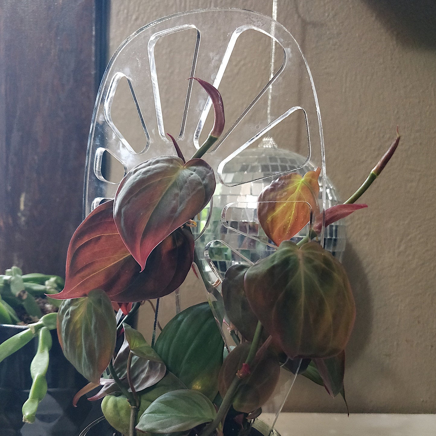 Acrylic Plant Trellis