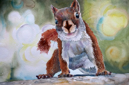 Animals - Greeting Card Set