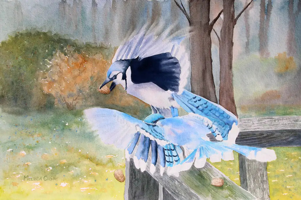 Animals - Greeting Card Set