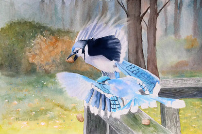 Animals - Greeting Card Set