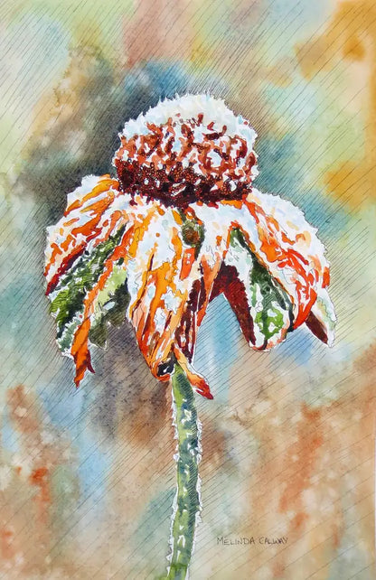 Flowers - Dandelion - Greeting Card Set