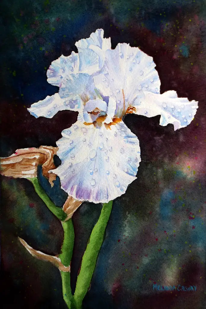 Flowers - Iris - Greeting Card Set