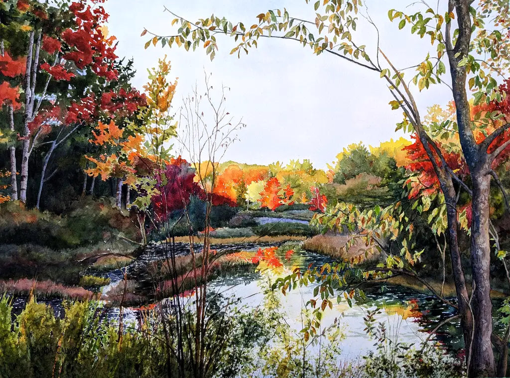 Northern Landscapes - Greeting Card Set