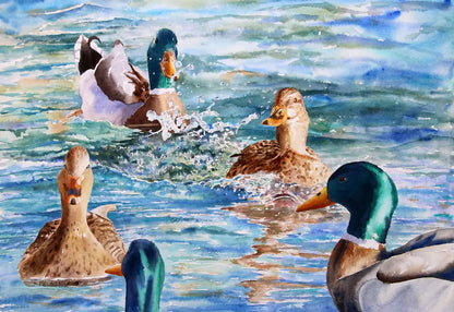 Water Fauna - Greeting Card Set