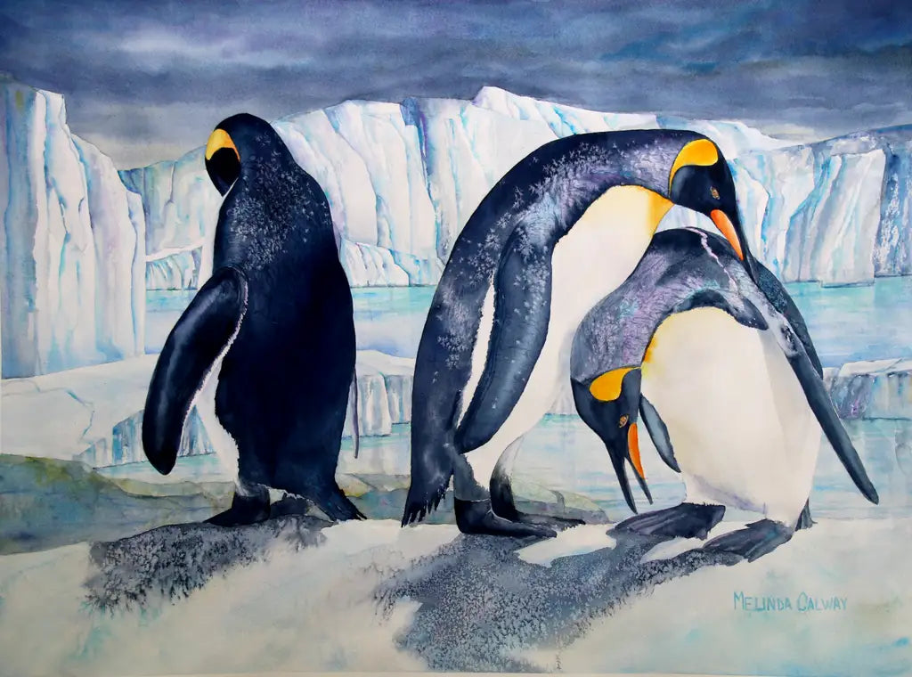Water Fauna - Greeting Card Set