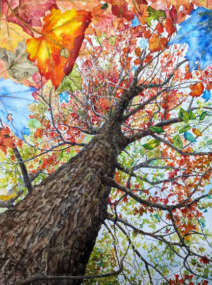 Trees - Greeting Card Set