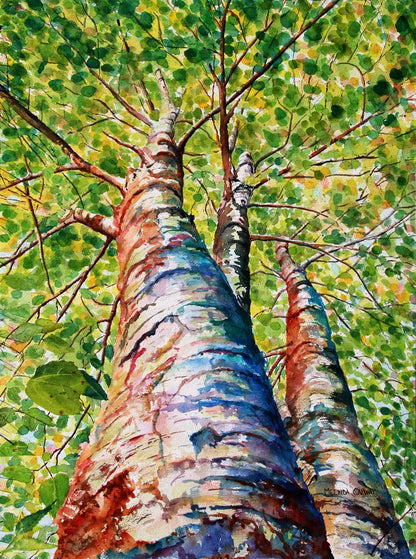 Trees & Flowers - Greeting Card Set