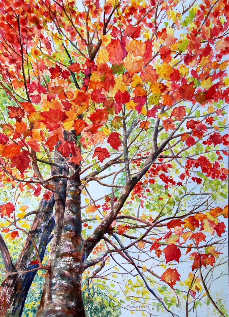 Trees & Flowers - Greeting Card Set