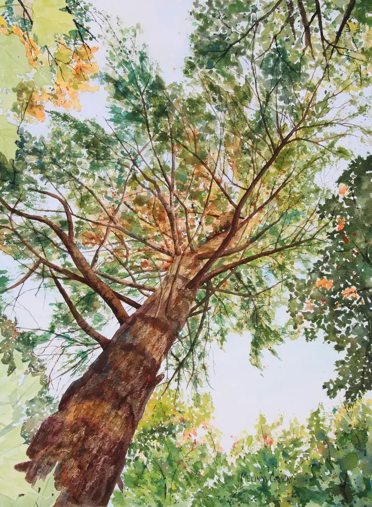 Trees & Flowers - Greeting Card Set