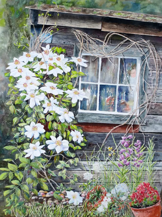 Windows - Greeting Card Set