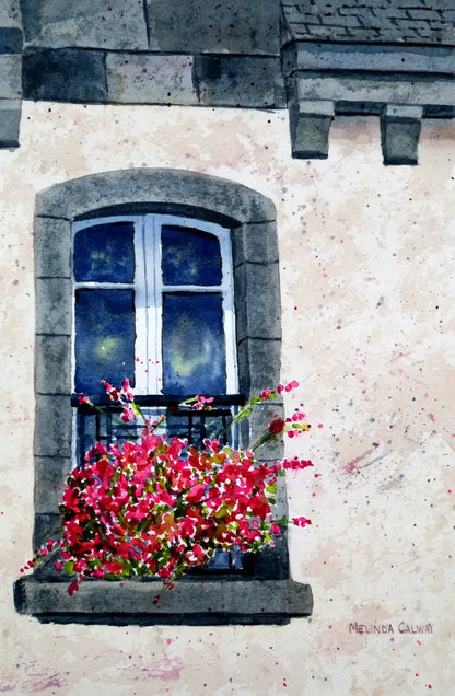 Windows - Greeting Card Set